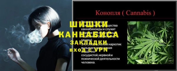 сатива Беслан