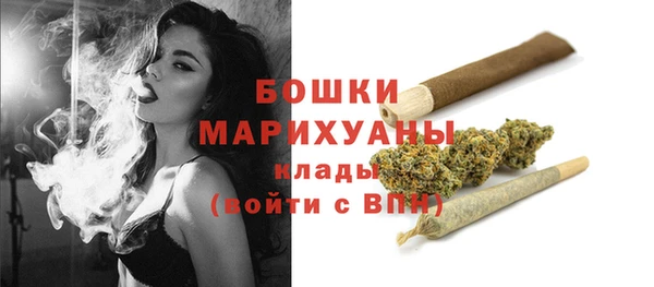 спайс Бикин